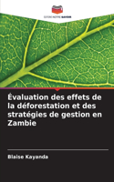 Évaluation des effets de la déforestation et des stratégies de gestion en Zambie