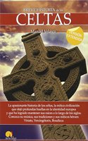 Breve historia de los celtas (version extendida)