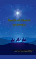 Birth of Christ in detail