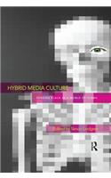 Hybrid Media Culture