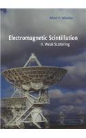 Electromagnetic Scintillation