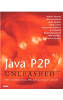 Java P2P Unleashed: With Jxta, Web Services, XML, Jini, Javaspaces, and J2ee