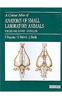 Colour Atlas of Anatomy of Small Laboratory Animals: Volume 1