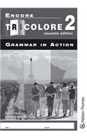 Encore Tricolore  2 Grammar in Action