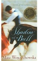 Shadow of a Bull