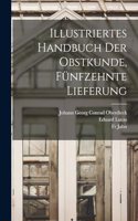 Illustriertes Handbuch der Obstkunde, Fünfzehnte Lieferung