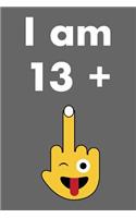 I Am 13 + 1