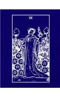 Nine of Pentacles