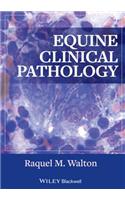 Equine Clinical Pathology