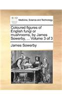 Coloured Figures of English Fungi or Mushrooms, by James Sowerby, ... Volume 3 of 3