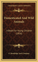 Domesticated And Wild Animals