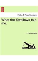 What the Swallows Told Me.
