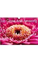 Up Close And Amazing 2018: Beautiful macro Gerbera and other flowers.(Calvendo Nature)