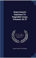 Some Insects Injurious To Vegetable Crops, Volumes 30-37