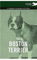 Boston Terrier - A Complete Anthology of the Dog -