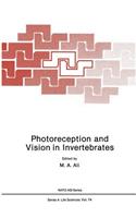 Photoreception and Vision in Invertebrates