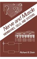 Nerve and Muscle