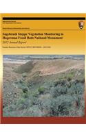 Sagebrush Steppe Vegetation Monitoring in Hagerman Fossil Beds National Monument