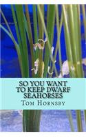 So you want to keep dwarf seahorses