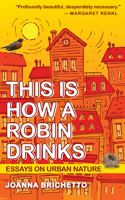 This Is How a Robin Drinks