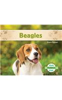 Beagles (Beagles )