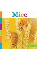 Mice