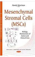 Mesenchymal Stromal Cells (MSCs)
