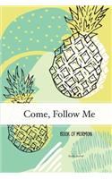 Come, Follow Me Book of Mormon Study Journal
