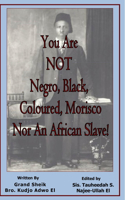 You Are Not Negro, Black, Coloured, Morisco Nor an African Slave!