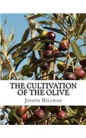 The Cultivation of the Olive