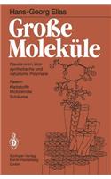 Große Moleküle