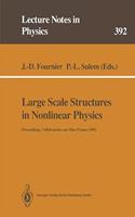 Large Scale Structures in Nonlinear Physics
