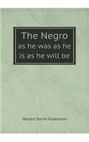 The Negro as He Was as He Is as He Will Be