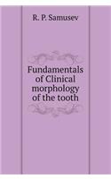 Fundamentals of Clinical Morphology of the Tooth