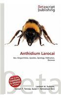 Anthidium Larocai: (English)