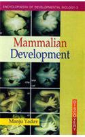 Mammalian Development