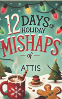 12 Days of Holiday Mishaps