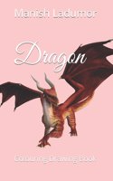 Dragon: Colouring Drawing Book