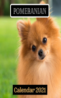 Pomeranian Calendar 2021