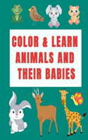 Color & Learn Animals and Their Babies