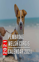 Pembroke Welsh Corgis Calendar 2021