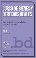 Curso de Bienes y Derechos Reales Vol. II