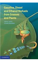 Gasoline, Diesel, and Ethanol Biofuels from Grasses and Plants