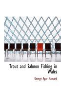Trout and Salmon Fishing in Wales