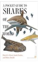 A Pocket Guide to Sharks of the World