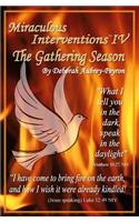 Miraculous Interventions IV, the Gathering Season