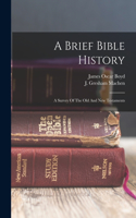 Brief Bible History; A Survey Of The Old And New Testaments
