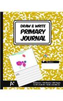 Draw & Write Primary Journal