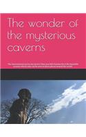 The wonder of the mysterious caverns: The international movie star Jackie Chen was full of praise for it, the beautiful scenery which only can be seen in three places around the world.(5 ????)