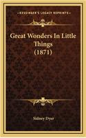 Great Wonders in Little Things (1871)